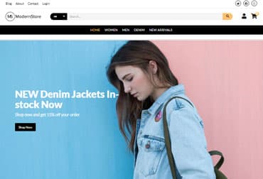 Modern Store online store template