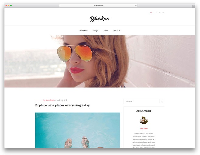 6 Blaskan - beautiful WordPress theme for blog 