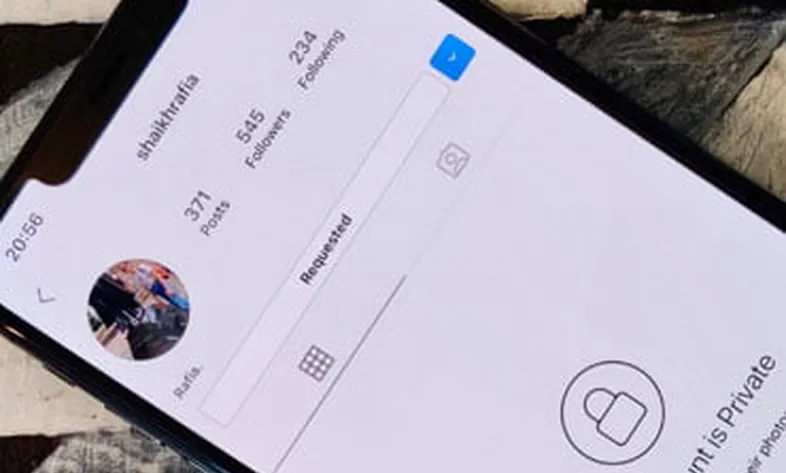 Delete follow requests on Instagram