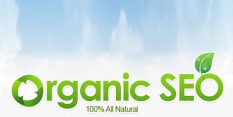 What is organic SEO?