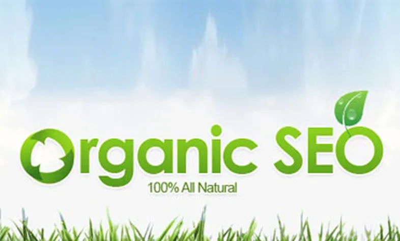 What is organic SEO?