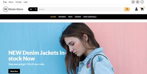 Modern Store online store template