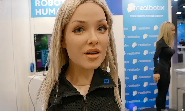 What AI Models Does a Physical Humanoid Robot Need?