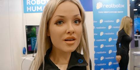 What AI Models Does a Physical Humanoid Robot Need?