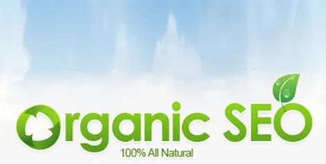 What is organic SEO?