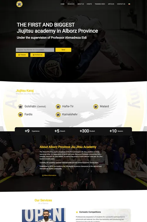 Alborz Jiu-Jitsu Academy