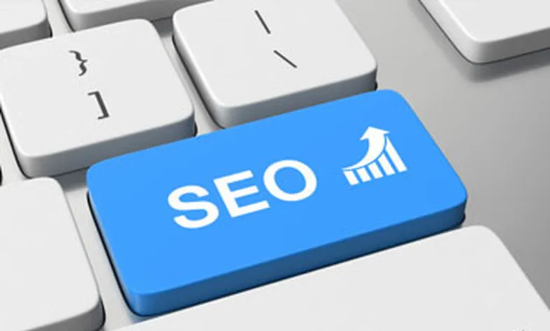 What is website SEO?