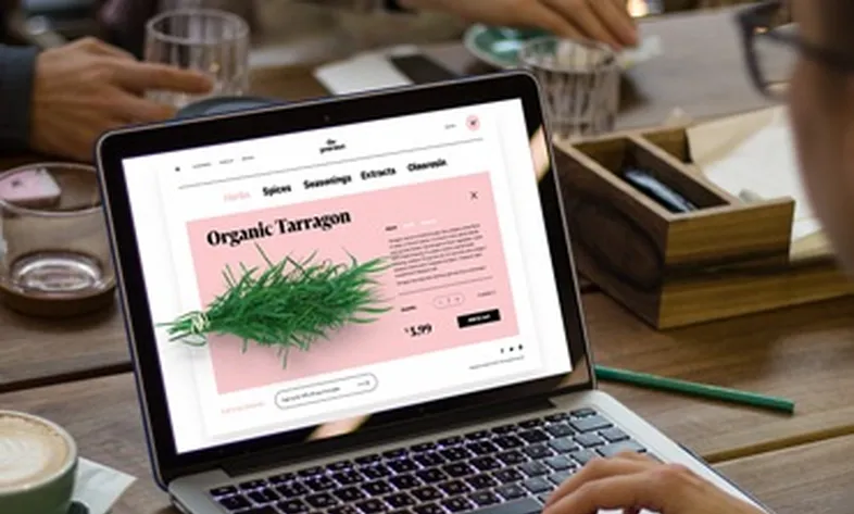 طراحی سایت در تهران