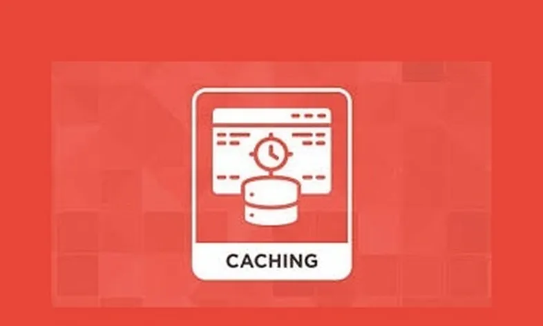 پاکسازی کش، روت، و کانفیگ از طریق آدرس سایت در لاراول