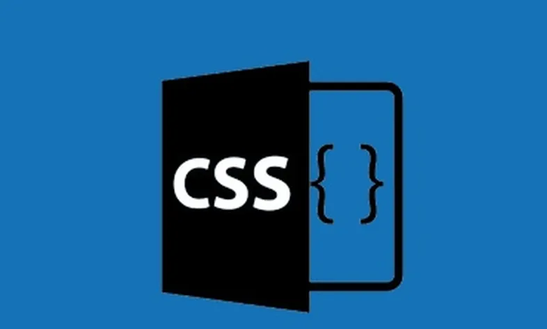 What is CSS?