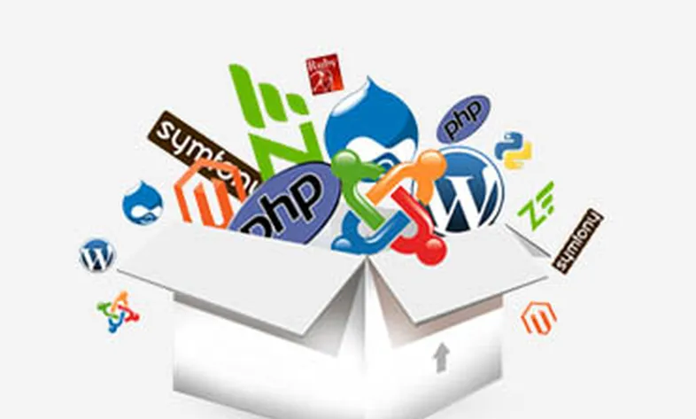 Dynamic website design