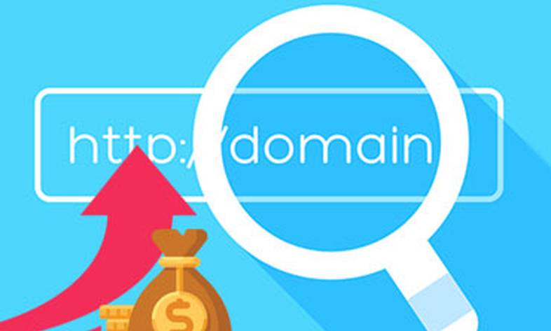 Domain price increase