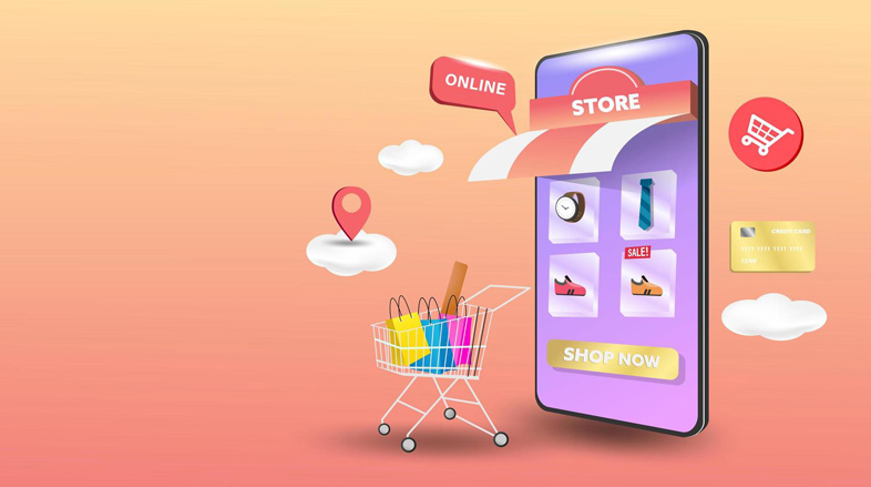 Difference in the price of site design and online store